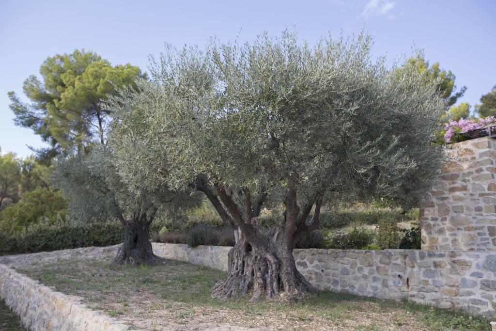 Mas Des Avelines Villa Le Brulat Buitenkant foto